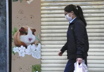 Hong Kong vai sacrificar mais de 2 mil hamsters após casos de Covid-19 entre roedores