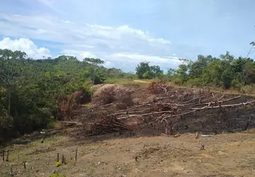 BPA flagra 15 mil metros quadrados de área desmatada em Maceió