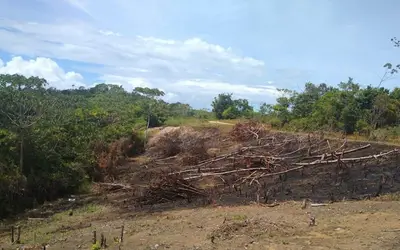 BPA flagra 15 mil metros quadrados de área desmatada em Maceió