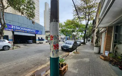 Aposentada faz pinturas em postes e colore bairro de São Paulo: 